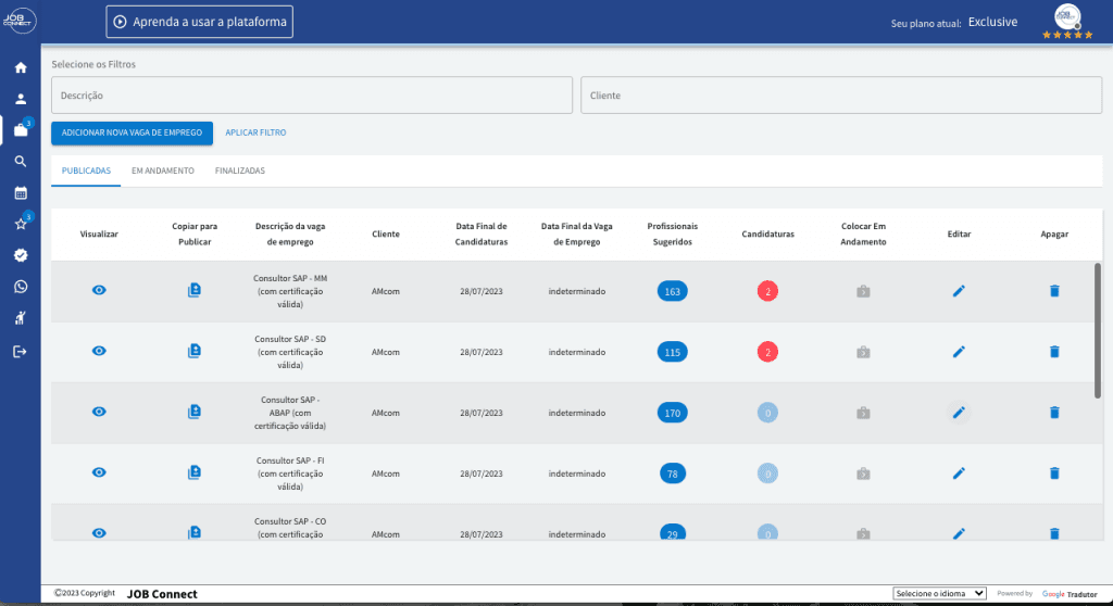 Dashboard JobConnect - Visão Geral